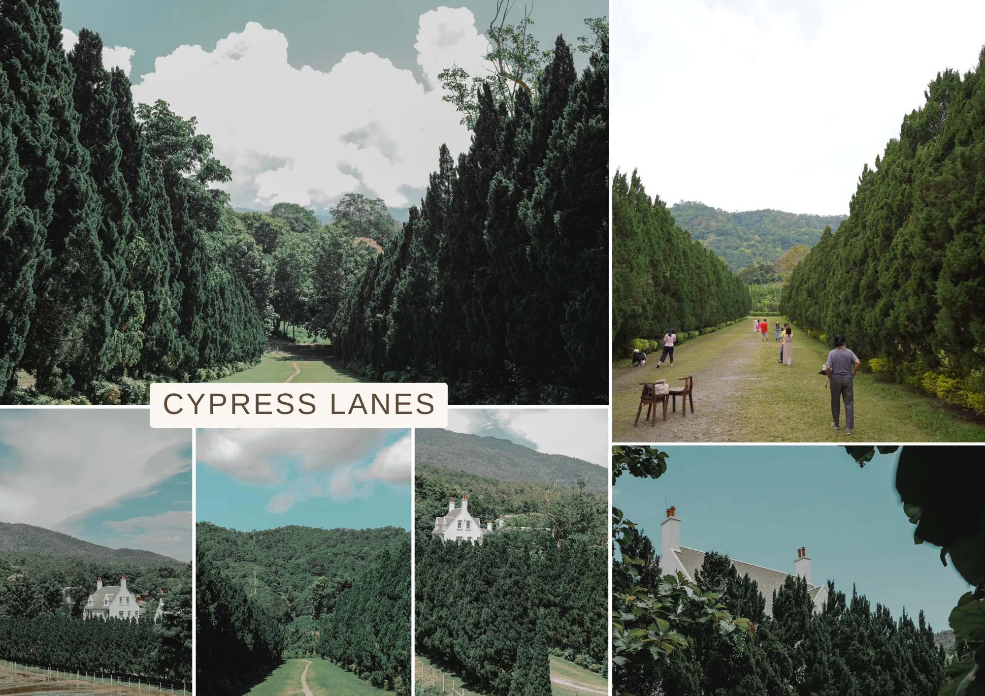 Cypress Lanes